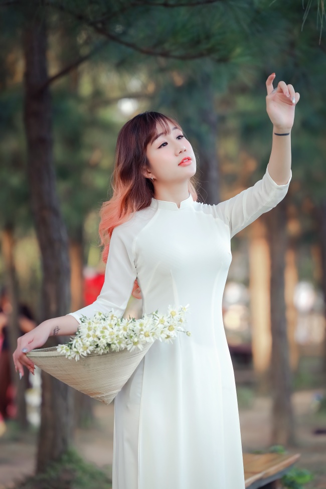 黑色大丽花